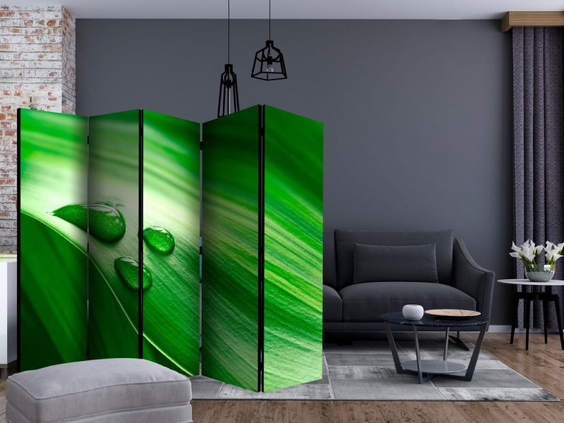 Parawan 5-częściowy - Liść i trzy krople wody II [Room Dividers]