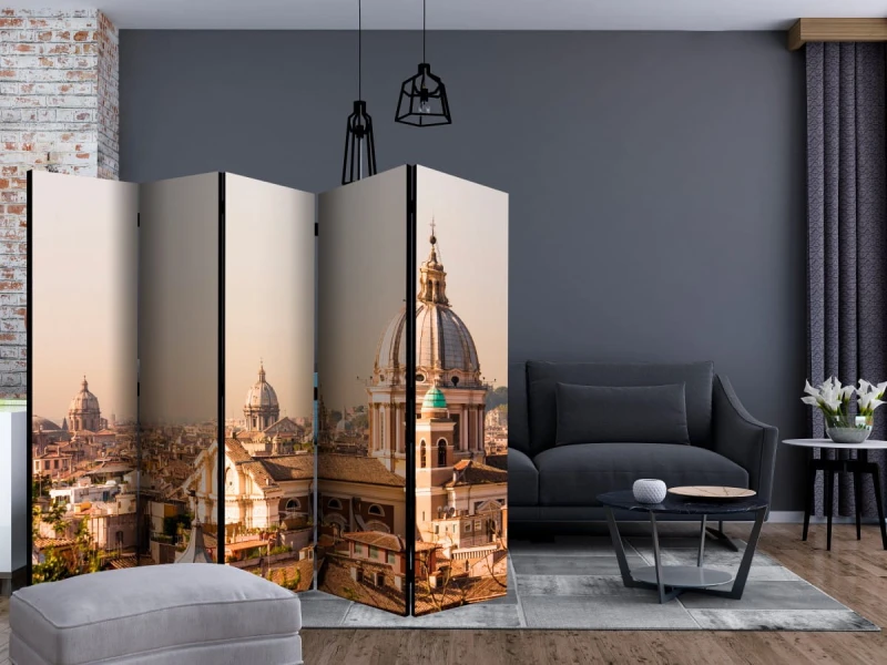 Parawan 5-częściowy - Rzym - widok z lotu ptaka II [Room Dividers]