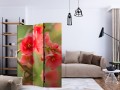 Parawan 3-częściowy - Azalea reflected in the water [Room Dividers]