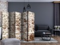 Parawan 5-częściowy - Smugi czasu II [Room Dividers]