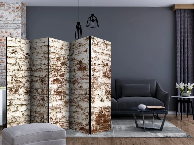 Parawan 5-częściowy - Smugi czasu II [Room Dividers]