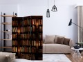 Parawan 3-częściowy - Półki z książkami [Room Dividers]
