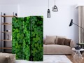 Parawan 3-częściowy - Zielona koniczyna [Room Dividers]
