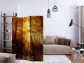 Parawan 3-częściowy - Jesienna iluminacja [Room Dividers]
