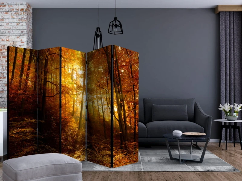 Parawan 5-częściowy - Jesienna iluminacja II [Room Dividers]