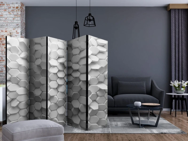 Parawan 5-częściowy - Biała zagadka II [Room Dividers]