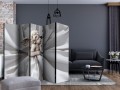 Parawan 5-częściowy - Anielski sen II [Room Dividers]