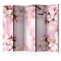 Parawan 5-częściowy - Wiosenny kwiat wiśni II [Room Dividers]