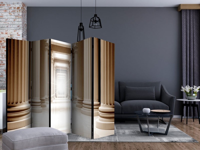 Parawan 5-częściowy - W antycznym Panteonie II [Room Dividers]