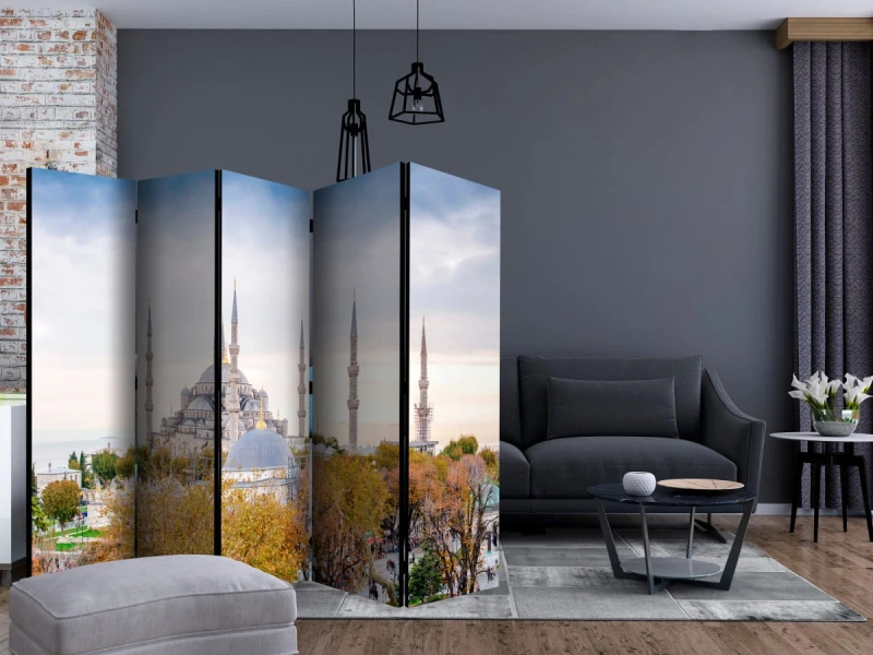 Parawan 5-częściowy - Hagia Sophia - Stambuł II [Room Dividers]
