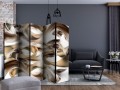 Parawan 5-częściowy - Zakręcony świat II [Room Dividers]