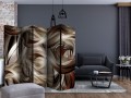 Parawan 5-częściowy - Brązowa hulanka II [Room Dividers]