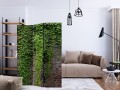 Parawan 3-częściowy - Cegły i bluszcz [Room Dividers]