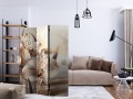 Parawan 3-częściowy - Księżniczki poranka [Room Dividers]