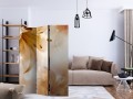 Parawan 3-częściowy - Królowe lata [Room Dividers]