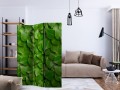 Parawan 3-częściowy - Tajemniczy ogród [Room Dividers]