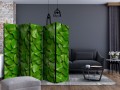 Parawan 5-częściowy - Tajemniczy ogród II [Room Dividers]