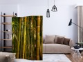 Parawan 3-częściowy - Las zachodzącego słońca [Room Dividers]