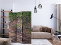 Parawan 3-częściowy - Koło czasu [Room Dividers]