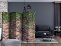 Parawan 5-częściowy - Koło czasu II [Room Dividers]
