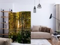 Parawan 3-częściowy - Leśna flora [Room Dividers]