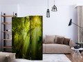 Parawan 3-częściowy - W tajemniczym lesie II [Room Dividers]