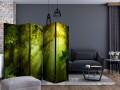 Parawan 5-częściowy - W tajemniczym lesie II II [Room Dividers]