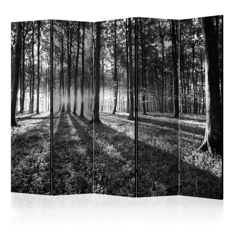 Parawan 5-częściowy - Szara puszcza II [Room Dividers]