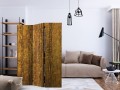 Parawan 3-częściowy - Złota komnata [Room Dividers]