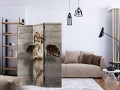 Parawan 3-częściowy - Anielskie oblicze [Room Dividers]