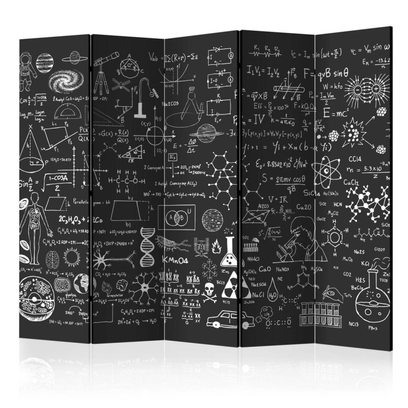 Parawan 5-częściowy - Tablica naukowa II [Room Dividers]