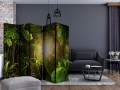 Parawan 5-częściowy - Serce lasu II [Room Dividers]