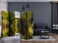 Parawan 5-częściowy - Diabelski Most w Kromlau, Niemcy II [Room Dividers]