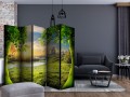Parawan 5-częściowy - Polana marzeń II [Room Dividers]