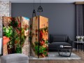 Parawan 5-częściowy - Uliczka w Umbrii II [Room Dividers]