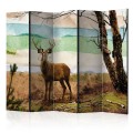 Parawan 5-częściowy - Leśny zbieg II [Room Dividers]