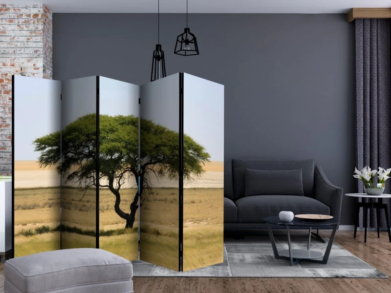 Parawan 5-częściowy - Etosha National Park, Namibia II [Room Dividers]