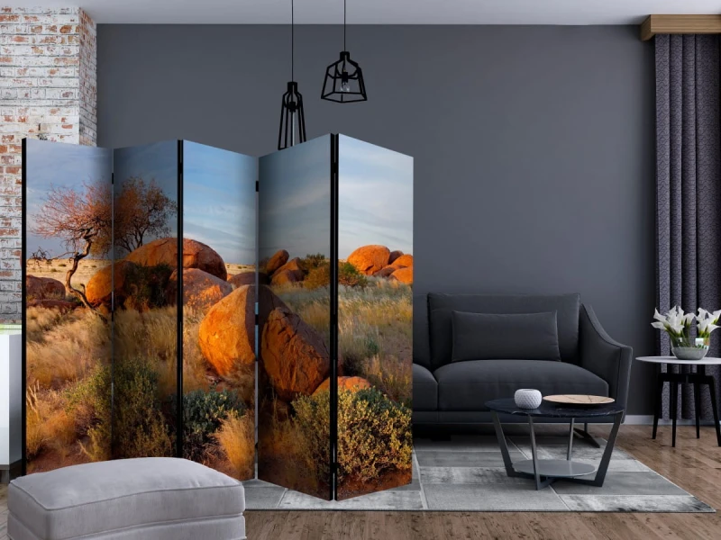 Parawan 5-częściowy - Pejzaż afrykański, Namibia II [Room Dividers]