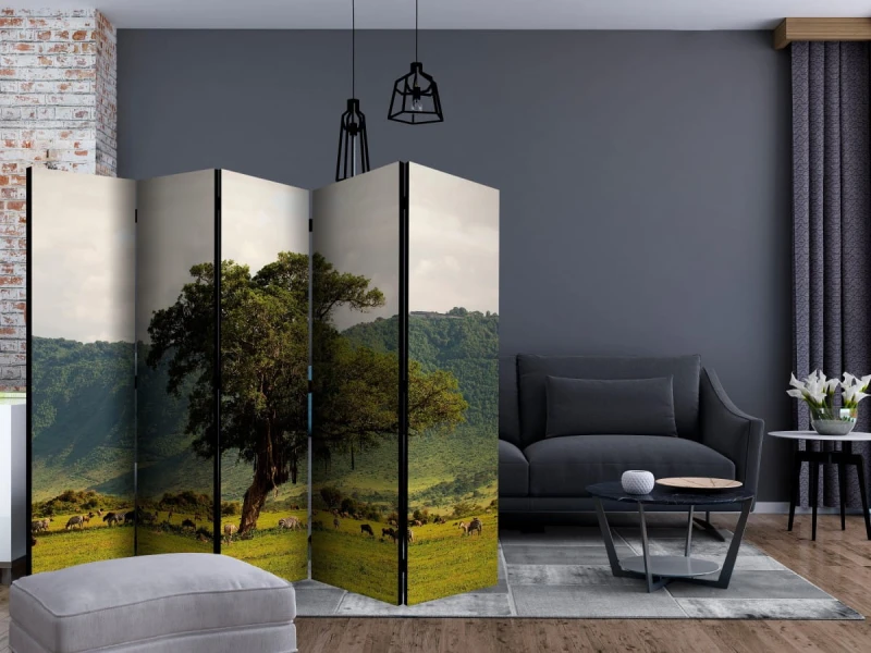 Parawan 5-częściowy - In a crater of Ngoro ngoro II [Room Dividers]