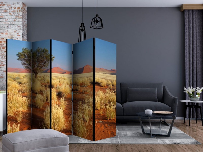 Parawan 5-częściowy - Pustynny krajobraz, Namibia II [Room Dividers]