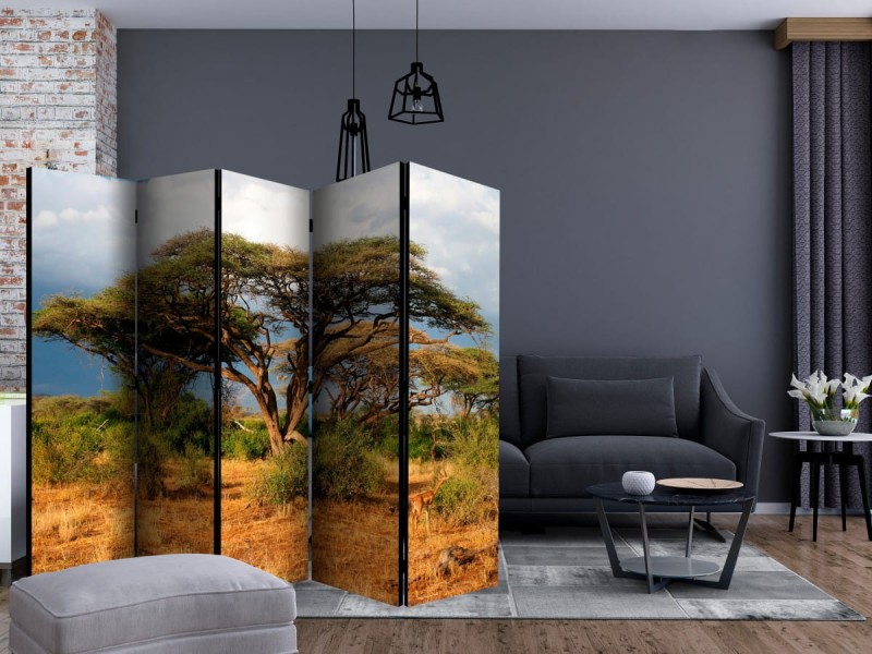 Parawan 5-częściowy - W krainie Samburu, Kenia II [Room Dividers]