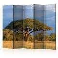 Parawan 5-częściowy - Afrykańska akacja - Park Narodowy Hwange, Zimbabwe II [Room Dividers]