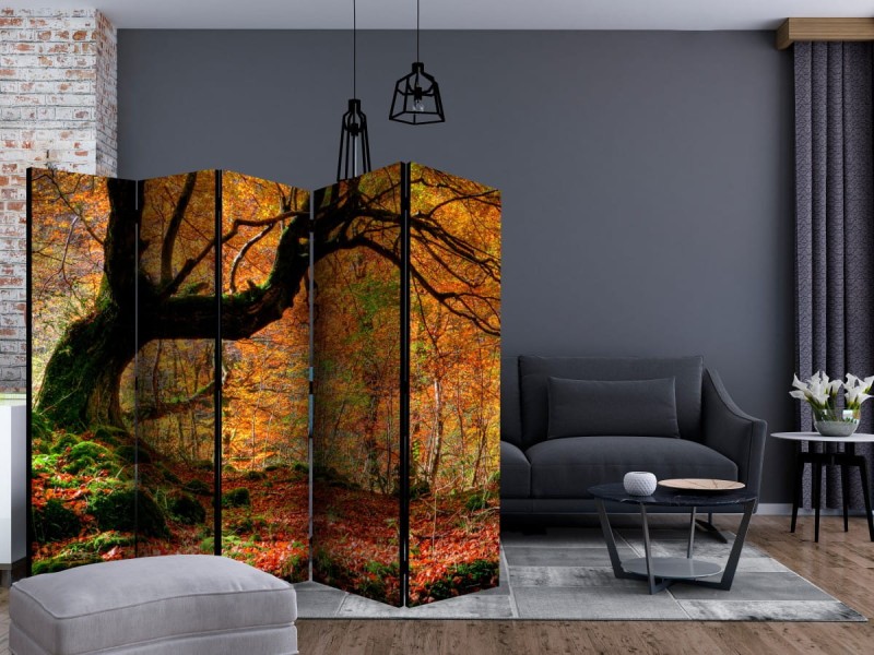 Parawan 5-częściowy - Jesień, las i liście II [Room Dividers]