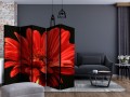 Parawan 5-częściowy - Czerwona gerbera II [Room Dividers]