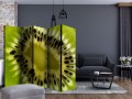 Parawan 5-częściowy - owoce: kiwi II [Room Dividers]