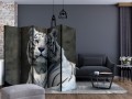 Parawan 5-częściowy - Tygrys bengalski w zoo II [Room Dividers]