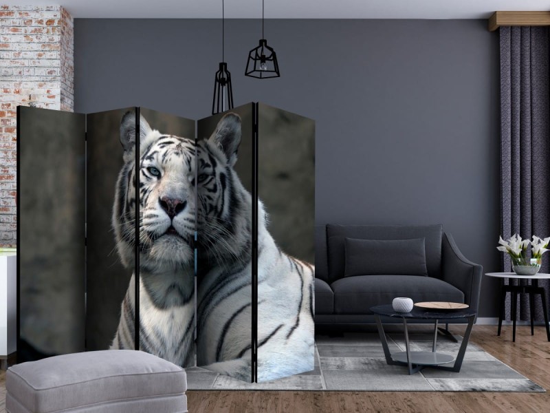 Parawan 5-częściowy - Tygrys bengalski w zoo II [Room Dividers]
