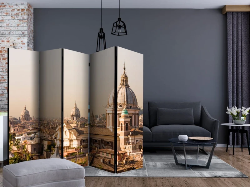 Parawan 5-częściowy - Rzym - widok z lotu ptaka II [Room Dividers]