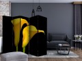 Parawan 5-częściowy - Dwie żółte kalie na czarnym tle II [Room Dividers]