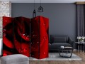 Parawan 5-częściowy - Czerwona róża i krople rosy II [Room Dividers]